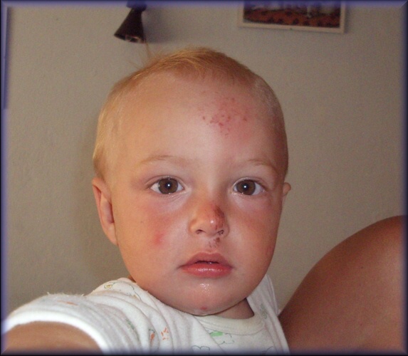 8.7.2010--1-