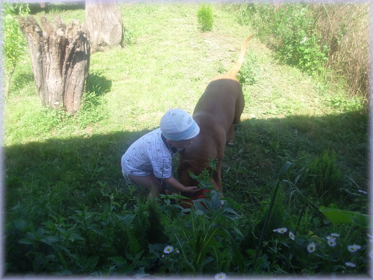 28.6.2011 (13)