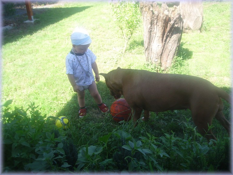 28.6.2011 (14)